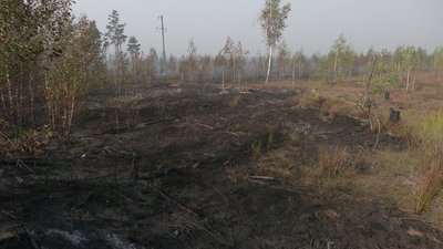 "Страшно, бо може до села дійти до села": на півночі Рівненщини рятувальники четвертий день ліквідовують лісову пожежу "Страшно, бо може до села дійти до села": на півночі Рівненщини рятувальники четвертий день ліквідовують лісову пожежу