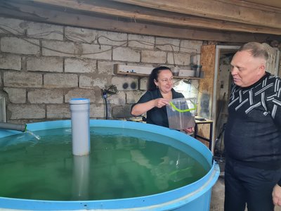 Науковці з Житомира задля експерименту вирощують осетрів