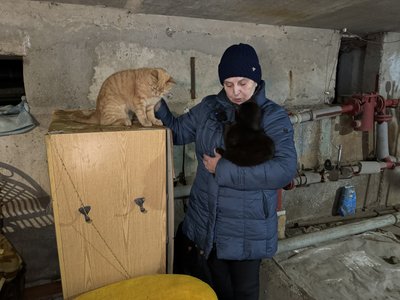 Гуртожиток для котів. Як херсонка Тетяна Юдіна облаштувала дерев'яні будиночки для бездомних тварин Гуртожиток для котів. Як херсонка Тетяна Юдіна облаштувала дерев'яні будиночки для бездомних тварин