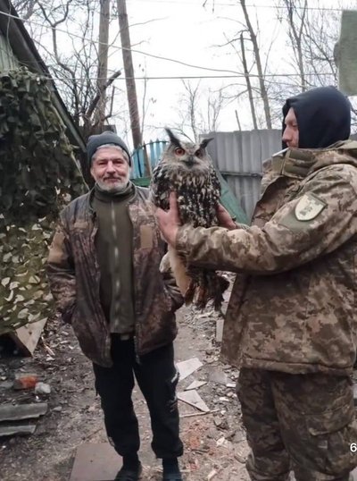 У Дніпрі лікують травмованого пугача, якого врятували військові У Дніпрі лікують травмованого пугача, якого врятували військові