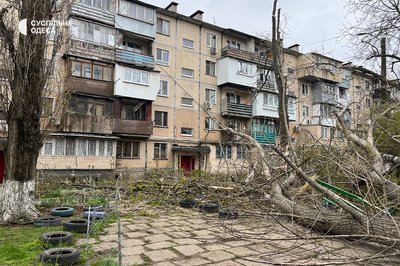 Деревопад на вулицях міста: наслідки негоди в Одесі Деревопад на вулицях міста: наслідки негоди в Одесі