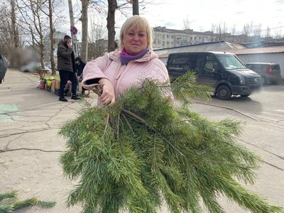 Херсон, ялинки, Новий рік Херсон, ялинки, Новий рік
