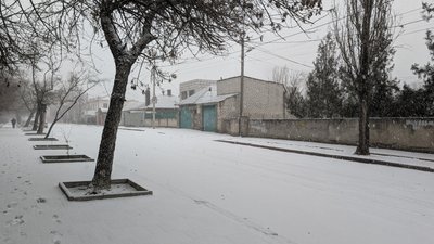 Перший сніг у Миколаєві: фоторепортаж Перший сніг у Миколаєві: фоторепортаж