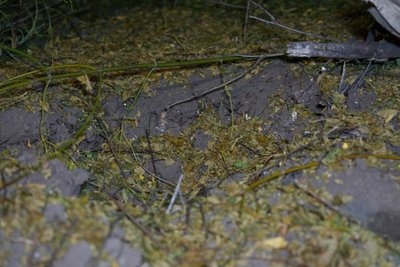 У Сумах пролунали вибухи: що розповіли очевидці У Сумах пролунали вибухи: що розповіли очевидці