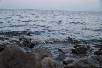 Провів 11 днів на тонкій кризі без їжі: як житель Дніпропетровщини врятував собаку з пастки посеред водойми Провів 11 днів на тонкій кризі без їжі: як житель Дніпропетровщини врятував собаку з пастки посеред водойми