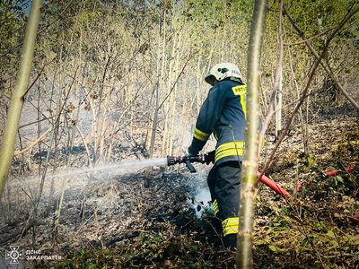 У Мукачівському районі горить близько 15 гектарів лісу: що відомо
