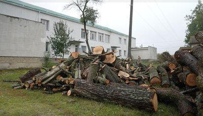 З газу — на дрова: громада на Черкащині перейшла на альтернативні види опалення для садочків і шкіл З газу — на дрова: громада на Черкащині перейшла на альтернативні види опалення для садочків і шкіл