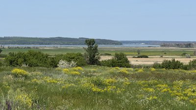 Оскільське водосховище село Рубці Лиманська громада Донецька область 6 червня 2025 рік Оскільське водосховище село Рубці Лиманська громада Донецька область 6 червня 2025 рік