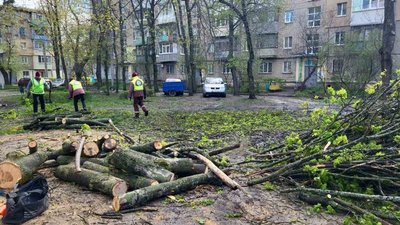 Повалені дерева у Харкові Повалені дерева у Харкові