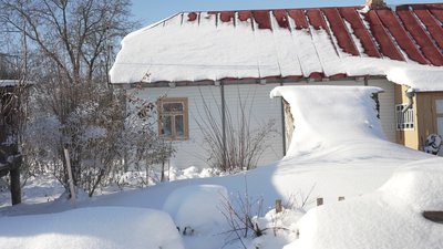 "Так вільний час проводиться — в траві, в городі": як Світлана Руда господарює у домі пращурів на Рівненщині "Так вільний час проводиться — в траві, в городі": як Світлана Руда господарює у домі пращурів на Рівненщині