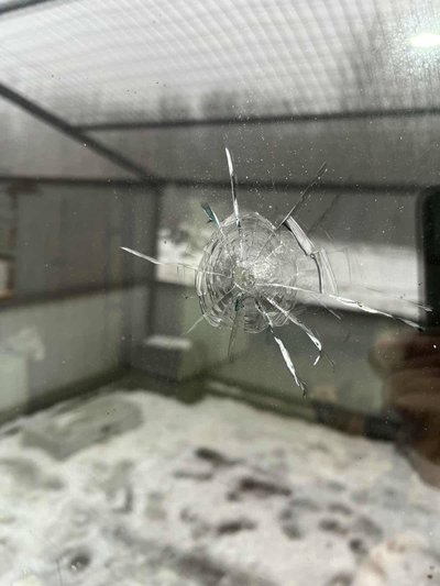 12 слідів від куль: невідомі обстріляли притулок для тварин на Черкащині 12 слідів від куль: невідомі обстріляли притулок для тварин на Черкащині