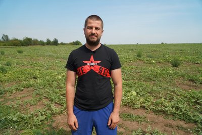 "Збираємо по 7-8 тонн в день". На Нікопольщині попри обстріли у фермерському господарстві вперше вирощують кавуни