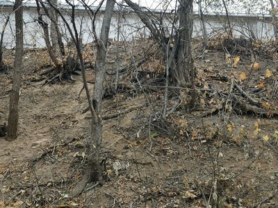 «Тріщини починають збільшуватися»: Хрестовоздвиженський монастир у Полтаві під загрозою руйнування «Тріщини починають збільшуватися»: Хрестовоздвиженський монастир у Полтаві під загрозою руйнування