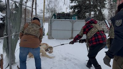 "Рятують життя під атаками дронів, артилерії та КАБів". Як зооволонтери з Дніпра вивозять тварин з прифронтових громад "Рятують життя під атаками дронів, артилерії та КАБів". Як зооволонтери з Дніпра вивозять тварин з прифронтових громад