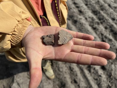 Під Котельвою на Полтавщині науковці знайшли скіфське поселення Під Котельвою на Полтавщині науковці знайшли скіфське поселення