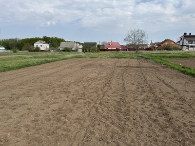 Рання висадка картоплі на Полтавщині: коли треба починати садити Рання висадка картоплі на Полтавщині: коли треба починати садити