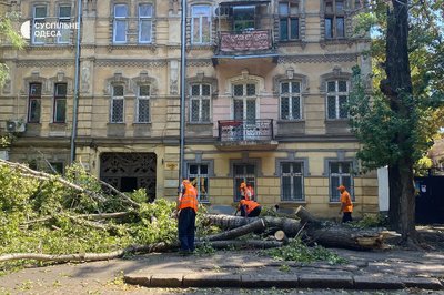 В Одесі через негоду впали дерева: рух транспорту змінили