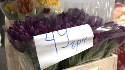 Квіти, флористи, ціни на квіти, замовити квіти, 13 лютого 2026, Тернопіль Квіти, флористи, ціни на квіти, замовити квіти, 13 лютого 2026, Тернопіль