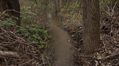 Дати воді волю: як жителі села на Черкащині самотужки відновлюють пересохлий ставок
