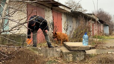 Місцевий житель годує собак та приносить воду Донецька область 9 листопада 2025 рік Місцевий житель годує собак та приносить воду Донецька область 9 листопада 2025 рік