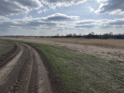 "Скандальне поле": чому фермери на Полтавщині вимушені виорювати берег річки "Скандальне поле": чому фермери на Полтавщині вимушені виорювати берег річки