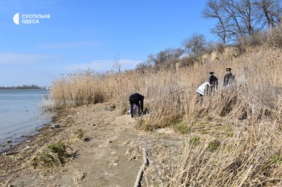 "Вода потребує захисту": в Ізмаїлі понад 100 людей долучилися до прибирання узбережжя Дунаю "Вода потребує захисту": в Ізмаїлі понад 100 людей долучилися до прибирання узбережжя Дунаю