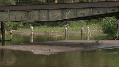 "Тут і риби немає вже": річка Горинь на Рівненщині обміліла нижче історичного мінімуму "Тут і риби немає вже": річка Горинь на Рівненщині обміліла нижче історичного мінімуму