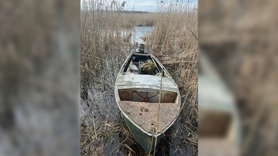 Рік умовно та понад 774 тис. грн компенсації: двом жителям Чернігівщини, які незаконно ловили рибу, винесли вирок Рік умовно та понад 774 тис. грн компенсації: двом жителям Чернігівщини, які незаконно ловили рибу, винесли вирок