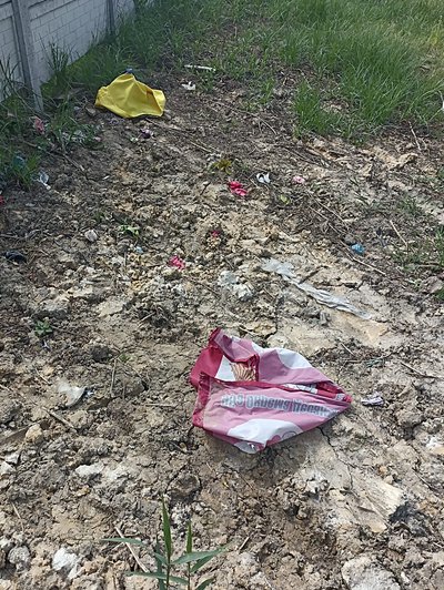 Понівечені прапори Лілія з сином знайшли на смітнику неподалік клажовища Понівечені прапори Лілія з сином знайшли на смітнику неподалік клажовища
