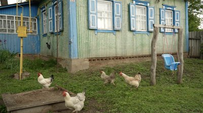 "Перепахали город собі новий": як облаштовуються переселенці з Осоївки на Сумщині "Перепахали город собі новий": як облаштовуються переселенці з Осоївки на Сумщині