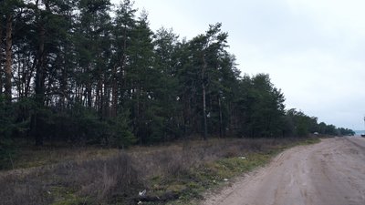 Для звалища біля Полтави можуть збудувати сміттєпереробний завод: яка ідея Терешківської ТГ Для звалища біля Полтави можуть збудувати сміттєпереробний завод: яка ідея Терешківської ТГ