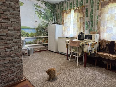 "Все добре, тільки додому хочеться". Як незнайомі люди допомогли облаштуватися родині з прикордоння Сумщини "Все добре, тільки додому хочеться". Як незнайомі люди допомогли облаштуватися родині з прикордоння Сумщини