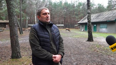 На Житомирщині понад 40 плямистих оленів утримують у розпліднику
