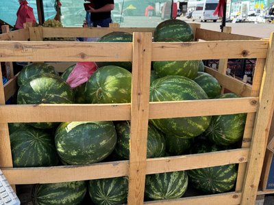 Перевірка якості баштанних культур на ринку в Житомирі