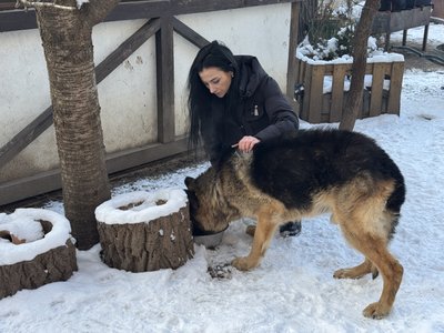 Як у Полтаві під час морозів доглядають за тваринами Як у Полтаві під час морозів доглядають за тваринами