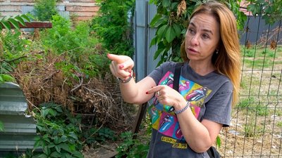 На стерилізацію собак у Кропивницькому виділили 1,6 мільйона гривень, проте вилов тимчасово призупинили: коли відновлять На стерилізацію собак у Кропивницькому виділили 1,6 мільйона гривень, проте вилов тимчасово призупинили: коли відновлять