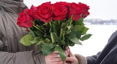 троянди, червоні троянди, букет троянд, квіти на день закоханих троянди, червоні троянди, букет троянд, квіти на день закоханих