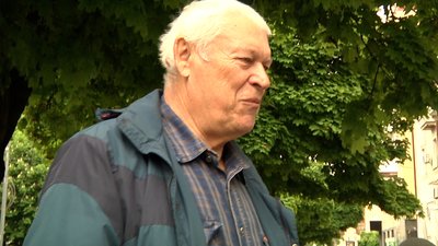 У підземеллі в центрі Житомира проросло дерево через відсутність вентиляції У підземеллі в центрі Житомира проросло дерево через відсутність вентиляції