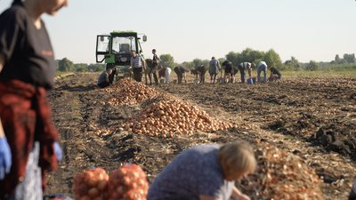 Допомагають фермерам Допомагають фермерам
