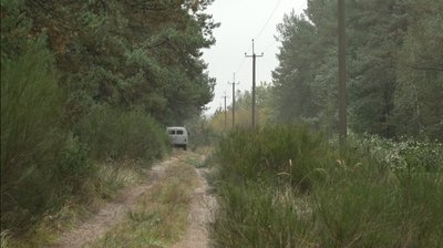 Пішов у ліс і заблукав у нетрях: історія порятунку пенсіонера з Рівненщини Пішов у ліс і заблукав у нетрях: історія порятунку пенсіонера з Рівненщини