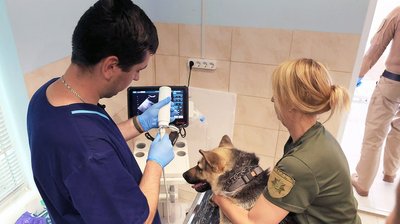У Кінологічному центрі поліції регулярно проводять ветогляди У Кінологічному центрі поліції регулярно проводять ветогляди