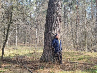 Укуси кліщів: як уникнути небезпечних захворювань та що робити при виявленні кліща, розповіли житомирські медики