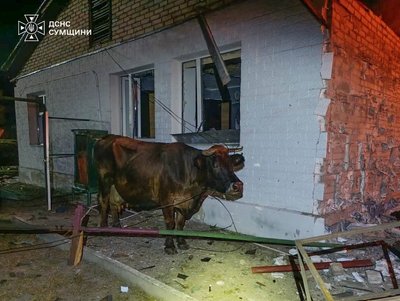 Армія РФ атакувала Шосткинську громаду з авіації. Загинув чоловік Армія РФ атакувала Шосткинську громаду з авіації. Загинув чоловік