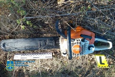 1,3 млн грн збитків державі. Жителя Жовтих Вод судитимуть за незаконну вирубку лісу 1,3 млн грн збитків державі. Жителя Жовтих Вод судитимуть за незаконну вирубку лісу