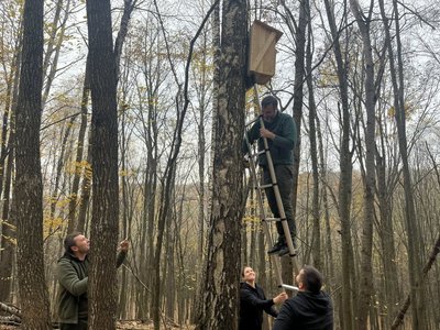Як встановлення сов’ятників та аудіорекордерів допомагає відстежувати птахів у нацпарку. Пояснює орнітолог з Рівненщини Як встановлення сов’ятників та аудіорекордерів допомагає відстежувати птахів у нацпарку. Пояснює орнітолог з Рівненщини