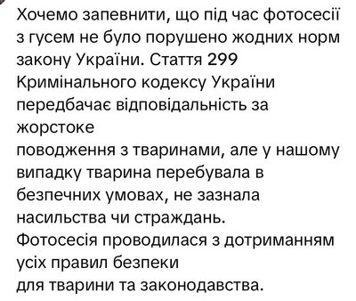 "Для птаха це — грань смерті» Троє жінок зловили гусака у Дніпрі для фотосесії "Для птаха це — грань смерті» Троє жінок зловили гусака у Дніпрі для фотосесії