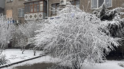 Засніжений Миколаїв Засніжений Миколаїв