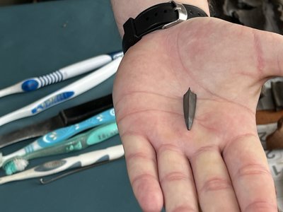 Під Котельвою на Полтавщині науковці знайшли скіфське поселення Під Котельвою на Полтавщині науковці знайшли скіфське поселення