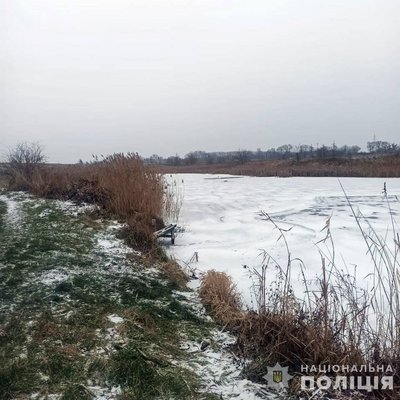 На Житомирщині поліцейський допоміг врятувати лебедя з крижаної пастки На Житомирщині поліцейський допоміг врятувати лебедя з крижаної пастки