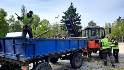 У Кропивницькому вітер повалив дерева: наслідки негоди